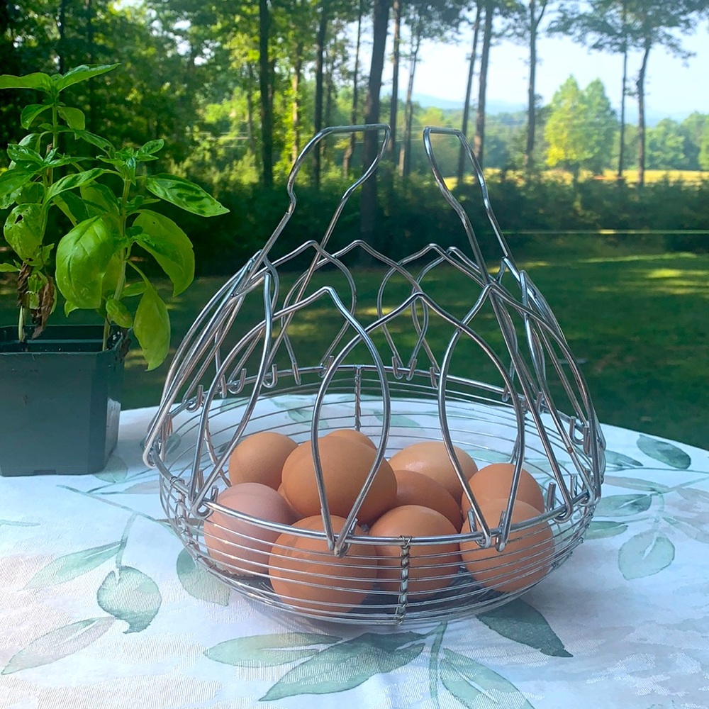 Wire Egg or Onion Basket